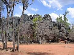 CairnsTC242 Chillagoe